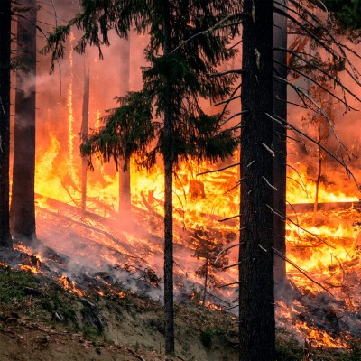 Fire-retardant protection fabric for firefighters